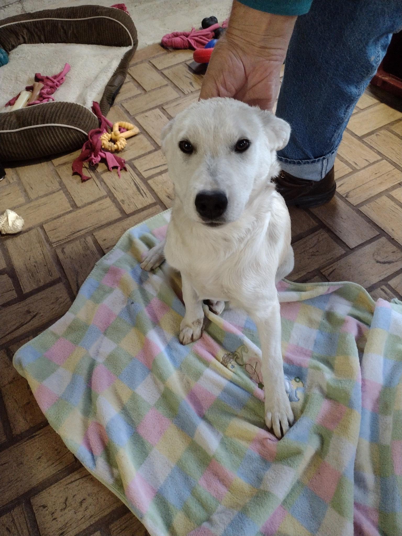 Daisy Mae photo 3