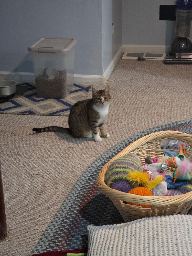 Elliot — thumbnail 2