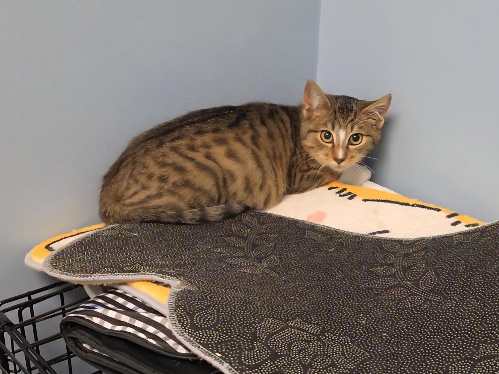 Elliot — thumbnail 3