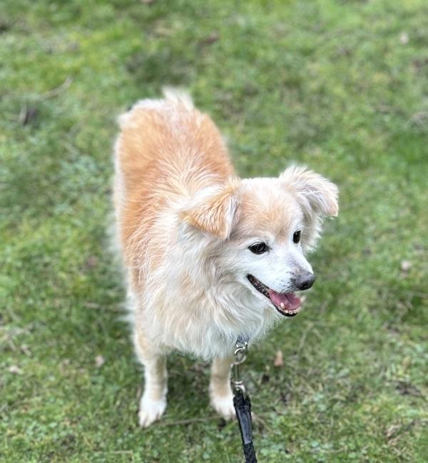 Jackson — thumbnail 3