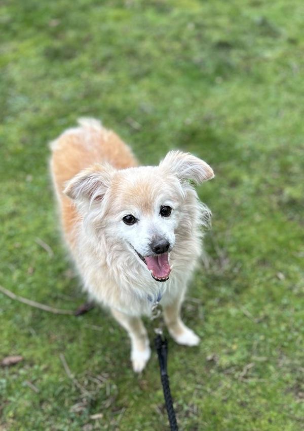 Jackson — thumbnail 4