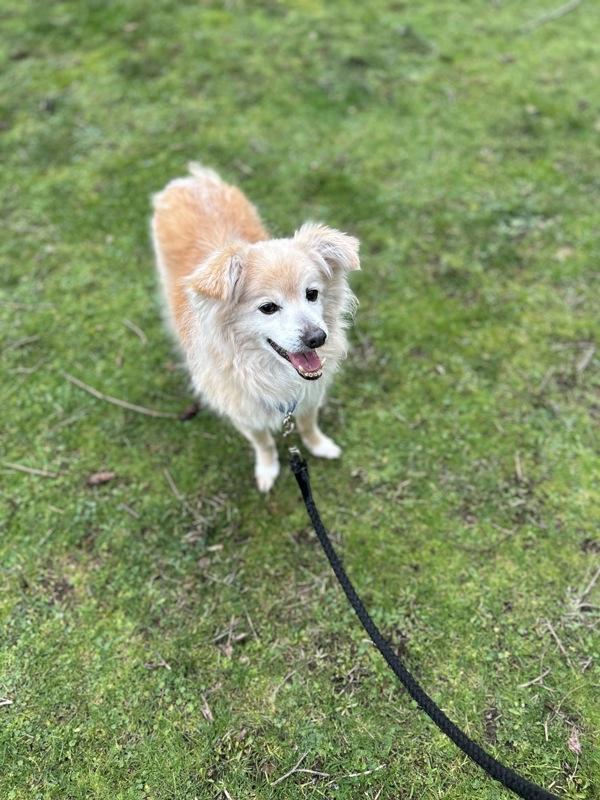 Jackson — thumbnail 6