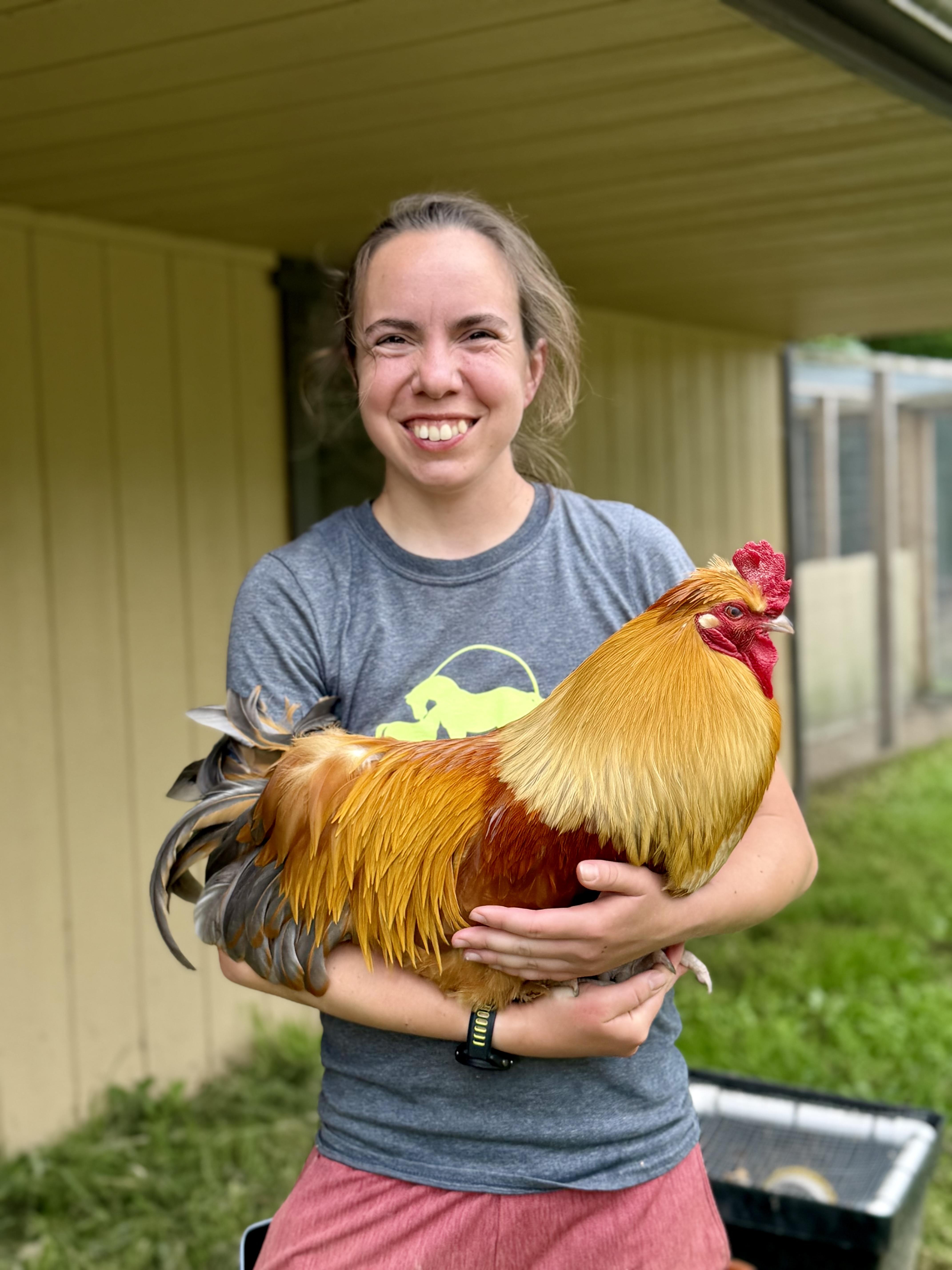 Fettuccine, a Adoptable Chicken in Ravenna, OH image 2/2