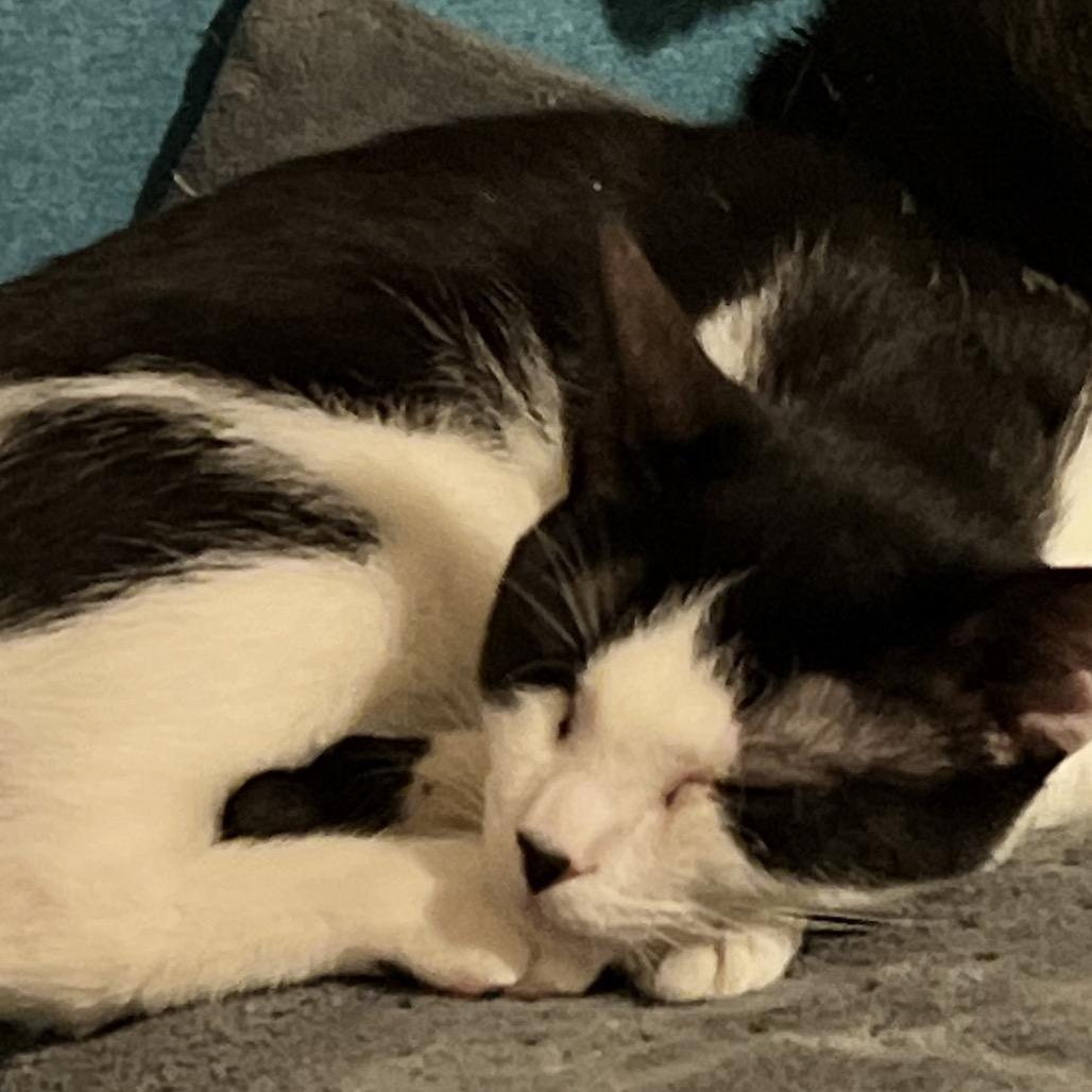 James Sulley — thumbnail 2