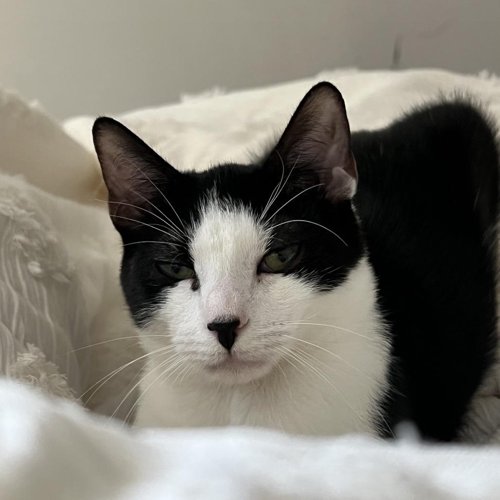 James Sulley — thumbnail 3