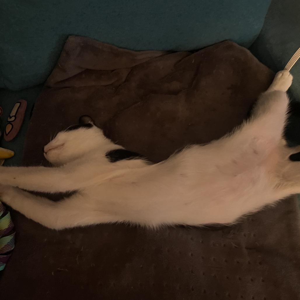 James Sulley — thumbnail 4