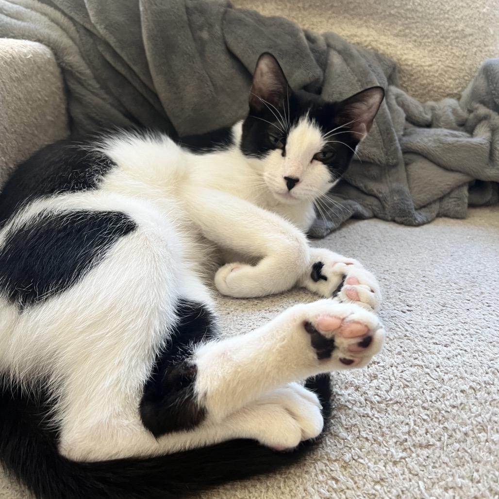 James Sulley — thumbnail 5