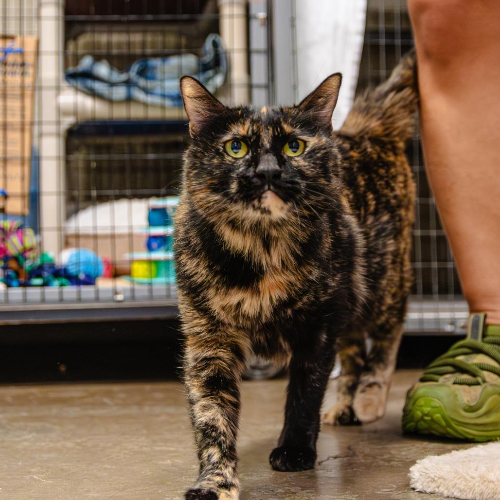 Lana — thumbnail 2