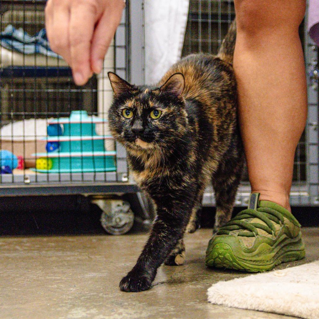 Lana — thumbnail 3