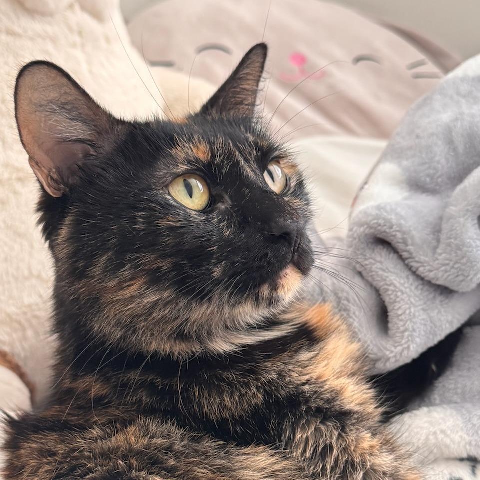 Lana — thumbnail 4