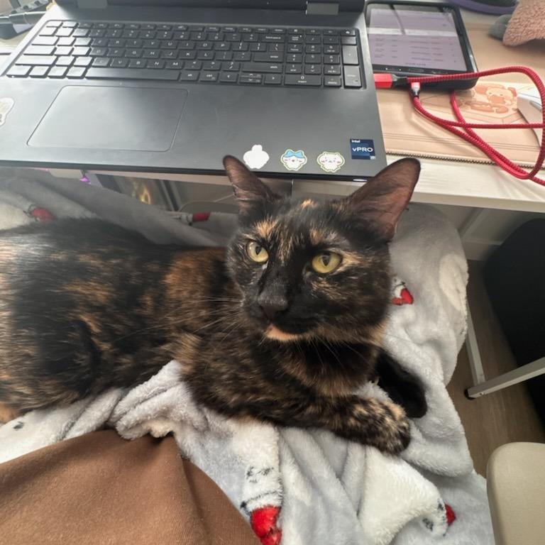 Lana — thumbnail 5