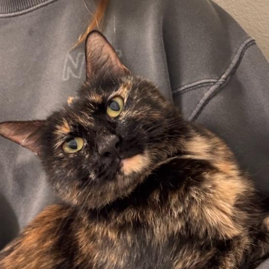 Lana — thumbnail 6