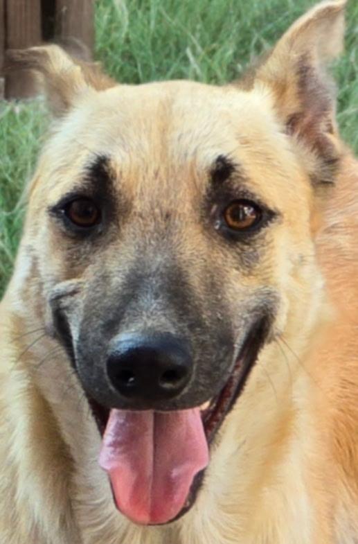 Lola — thumbnail 3