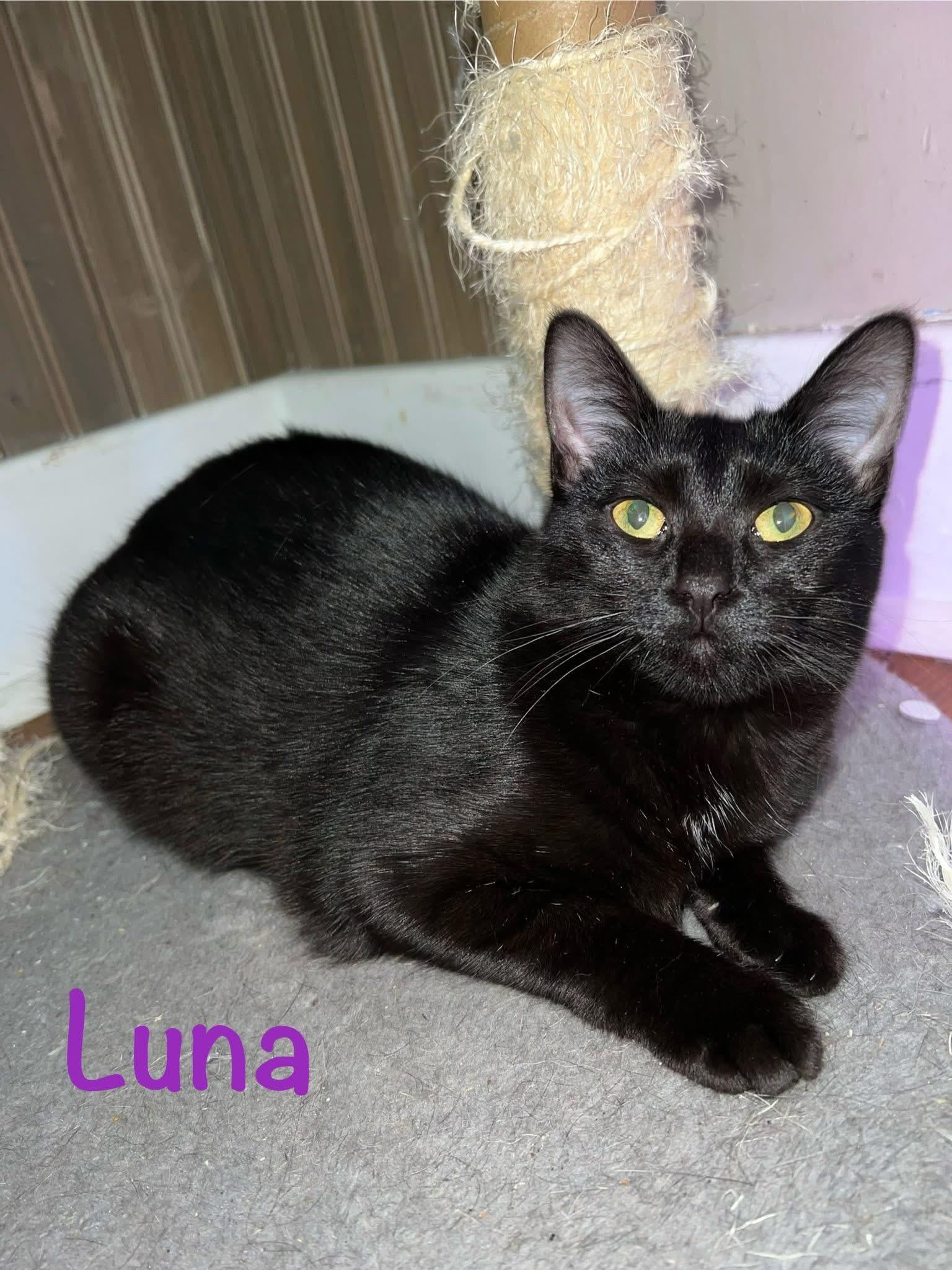 Luna