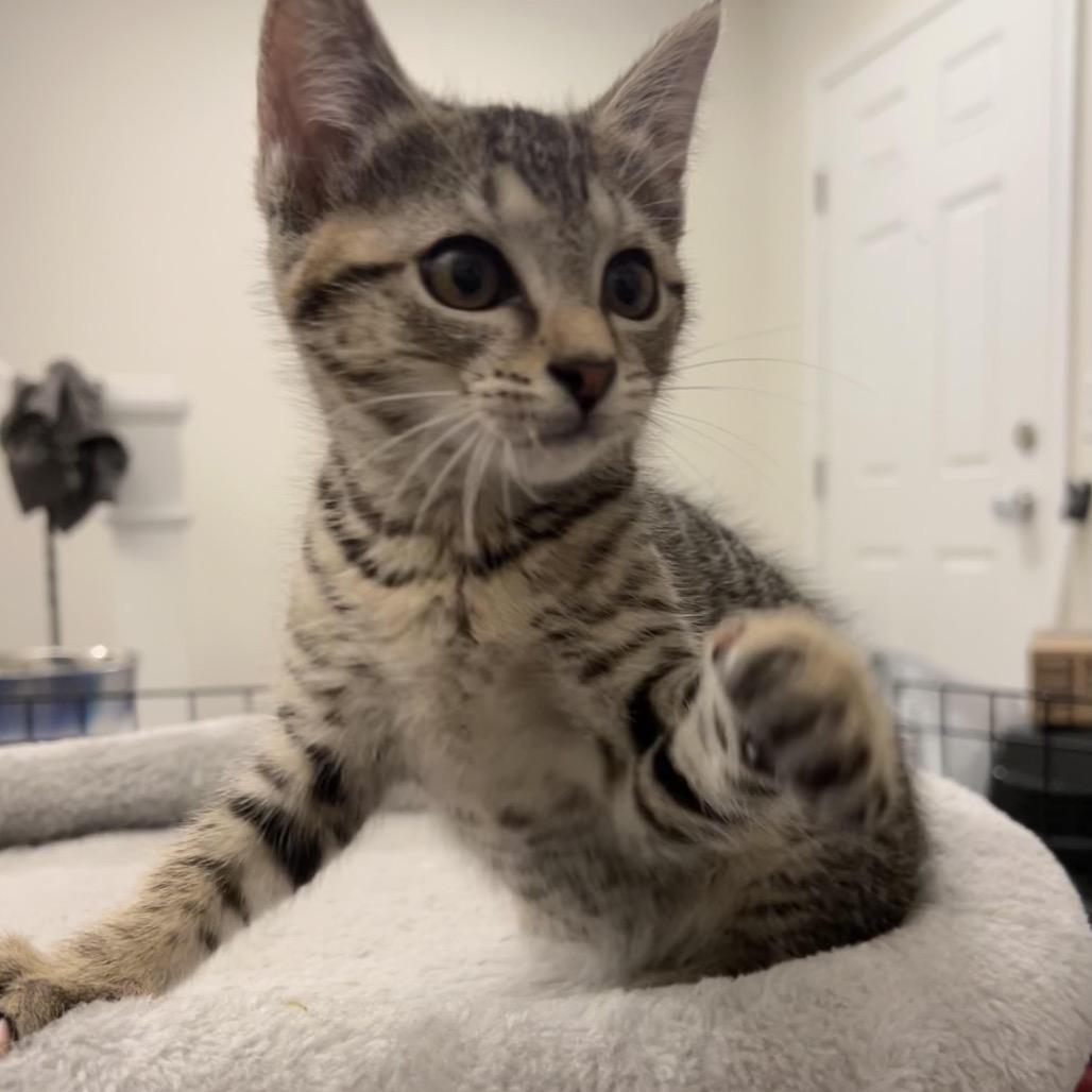 Glue Stick thumbnail 3