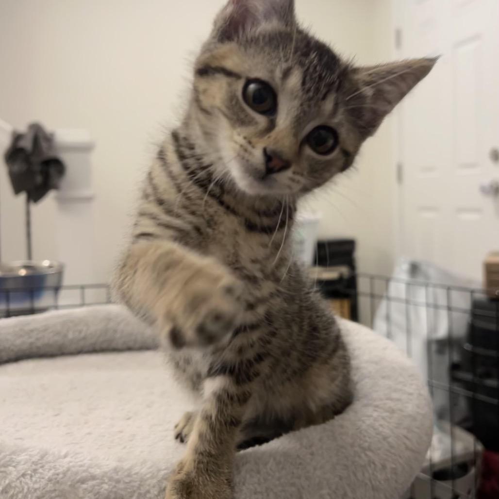 Glue Stick thumbnail 4