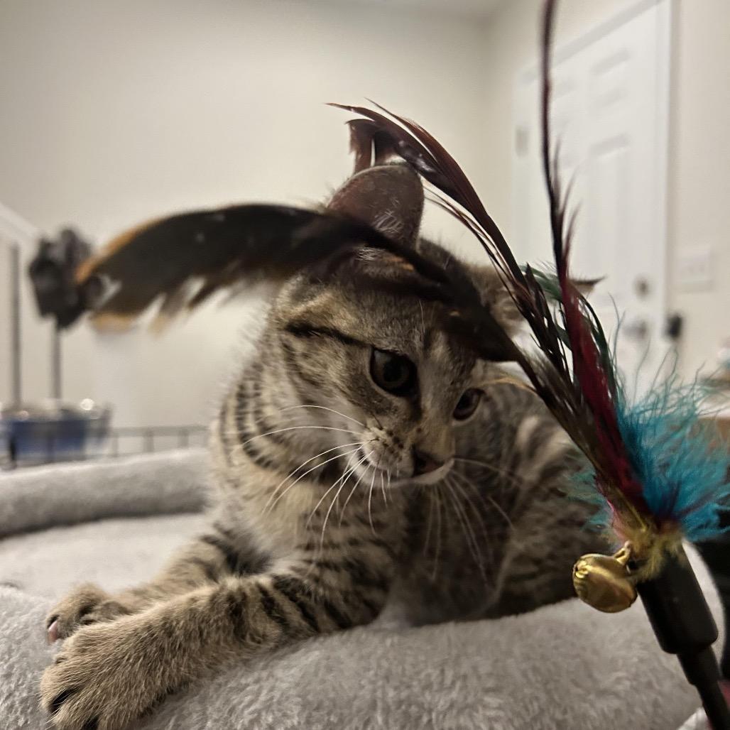 Glue Stick thumbnail 5