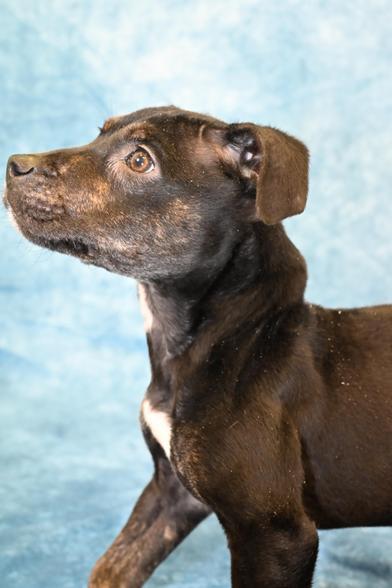 Folly — thumbnail 3