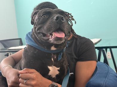 Vader — thumbnail 4