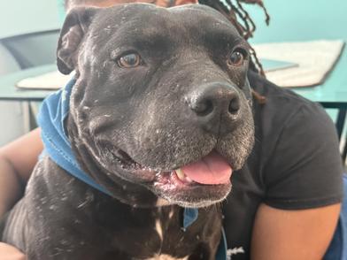 Vader — thumbnail 5