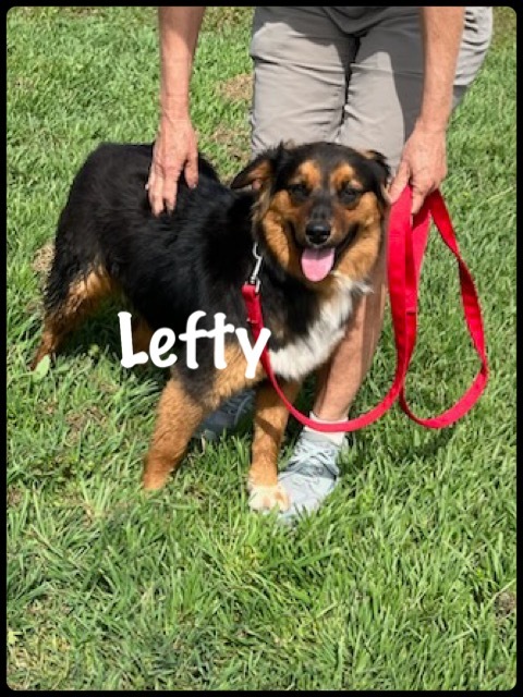 Lefty