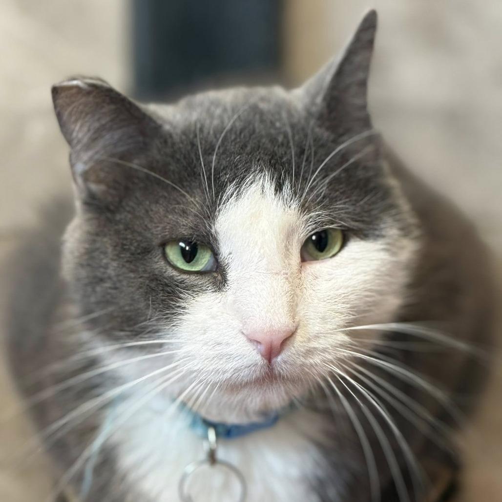 Carpe Diem — thumbnail 2