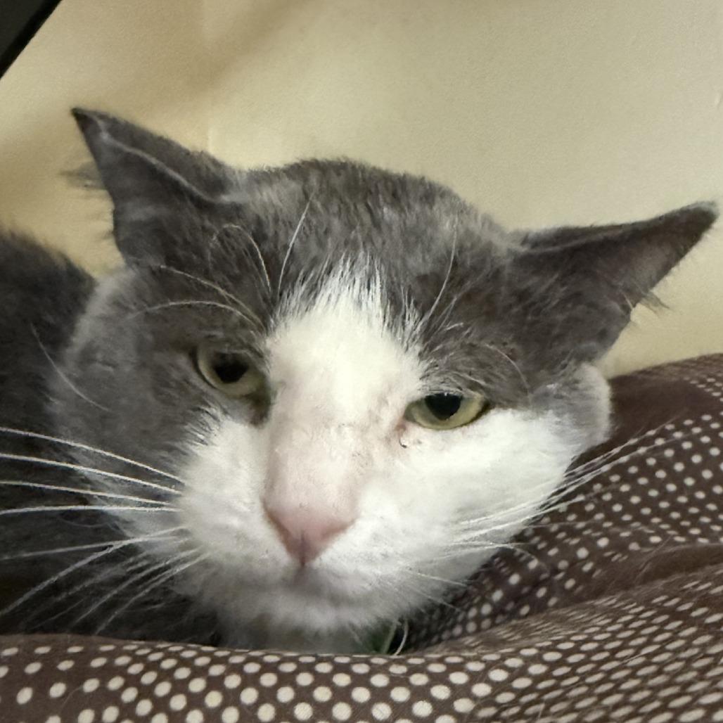 Carpe Diem — thumbnail 4