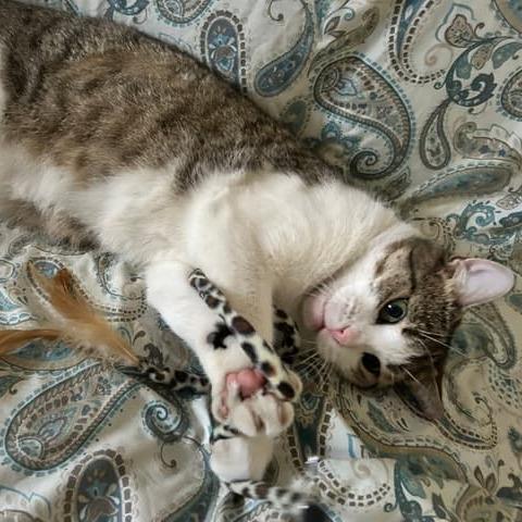 Gina — thumbnail 2