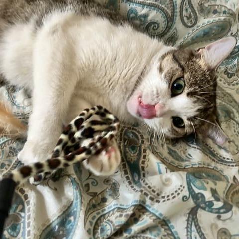 Gina — thumbnail 3