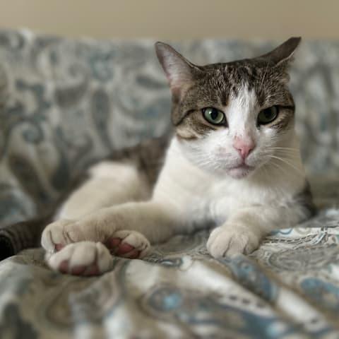 Gina — thumbnail 4