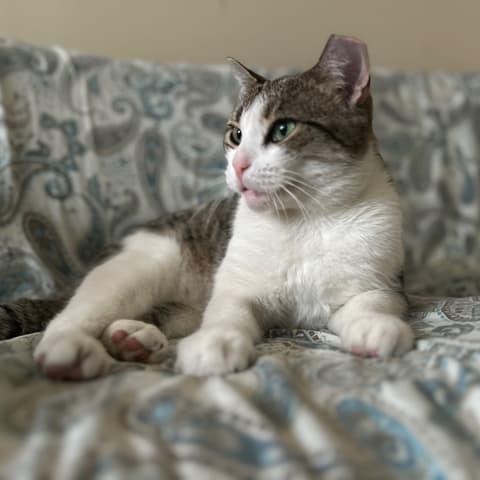 Gina — thumbnail 5