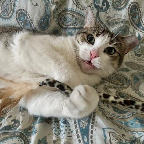 Gina — thumbnail 6