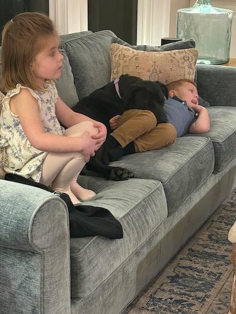 Enlarge CHARLOTTE, a Adoptable mixed breed in Alpharetta, GA image 2/6