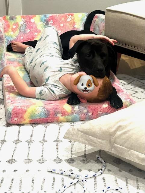 Enlarge CHARLOTTE, a Adoptable mixed breed in Alpharetta, GA image 5/6