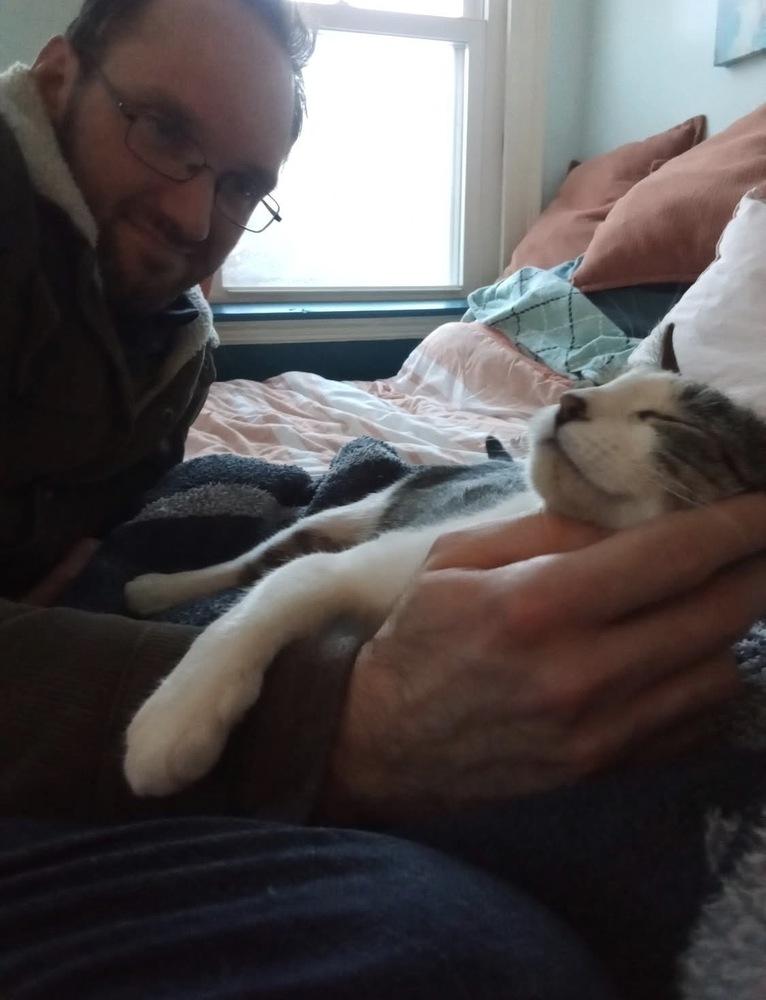 Enlarge Pandora, a Adoptable mixed breed in Warren, CT image 2/6