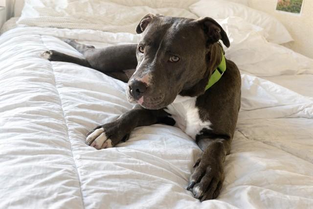 AFFECTION* — thumbnail 2