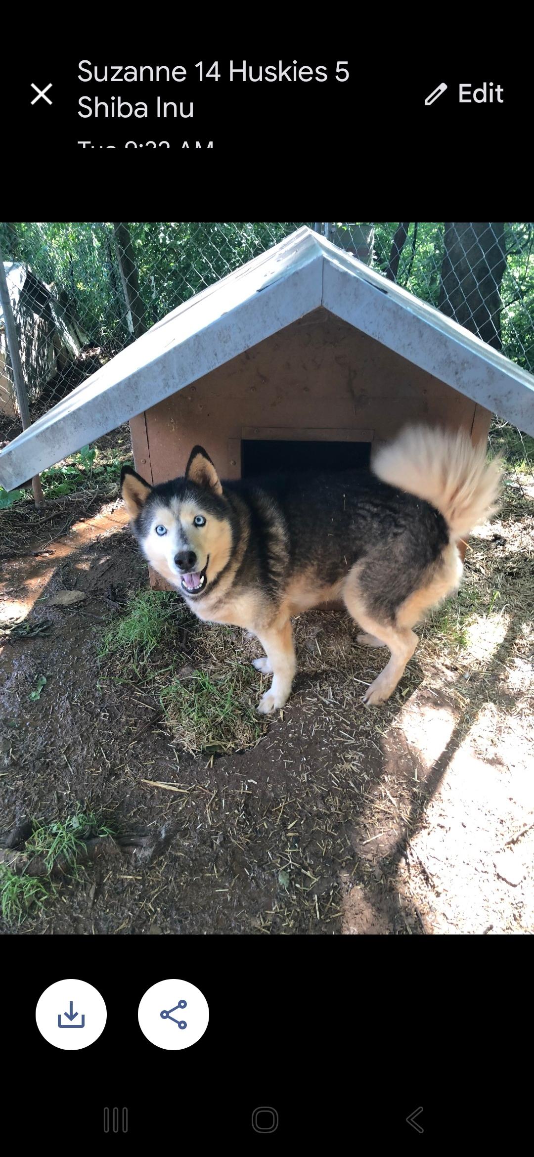 Nymeria