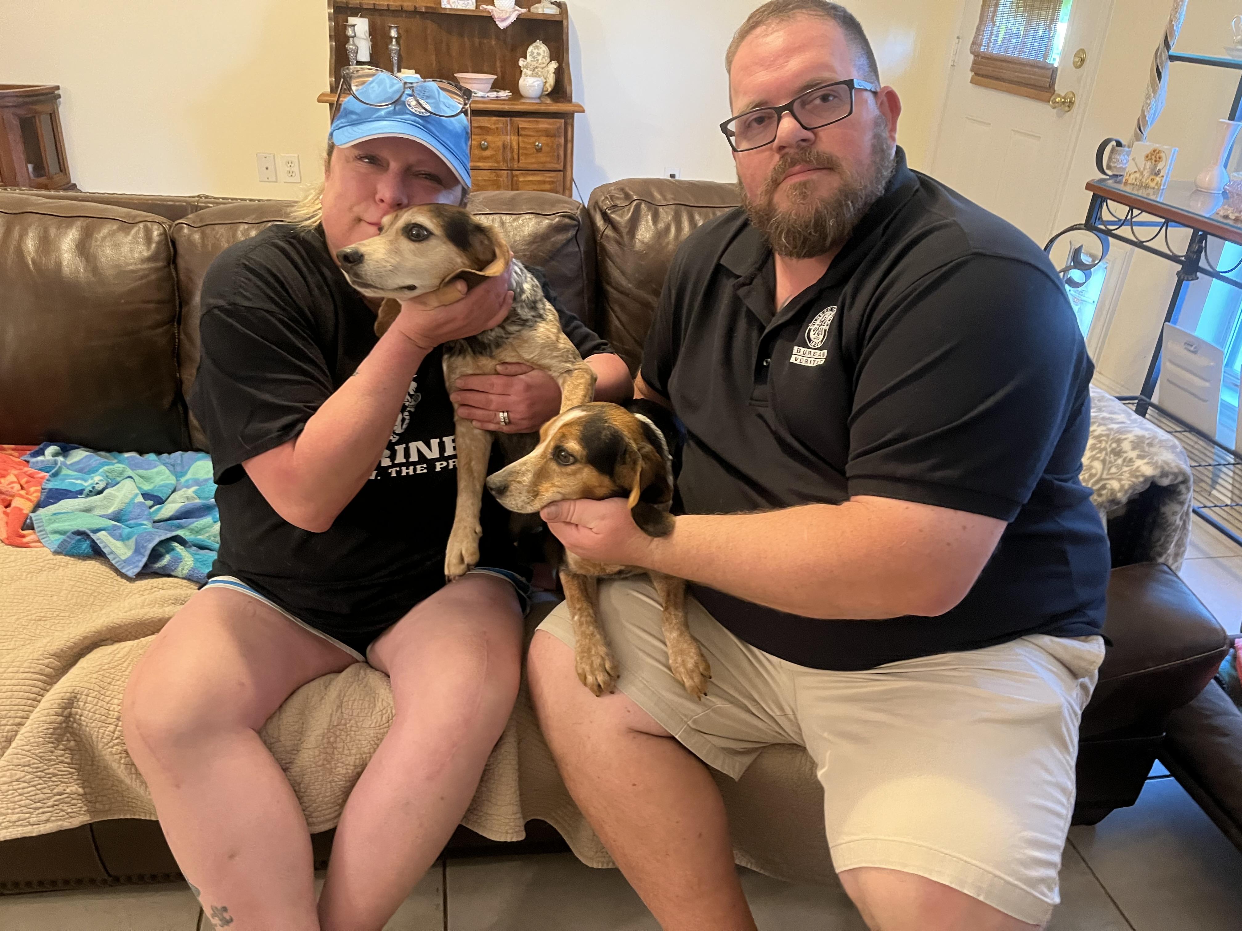 Enlarge Remi, an adopted Beagle in Prairieville, LA image 1/6