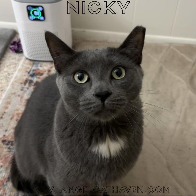 Nicky, Young Female unknown