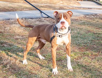 MC Mikey — thumbnail 2