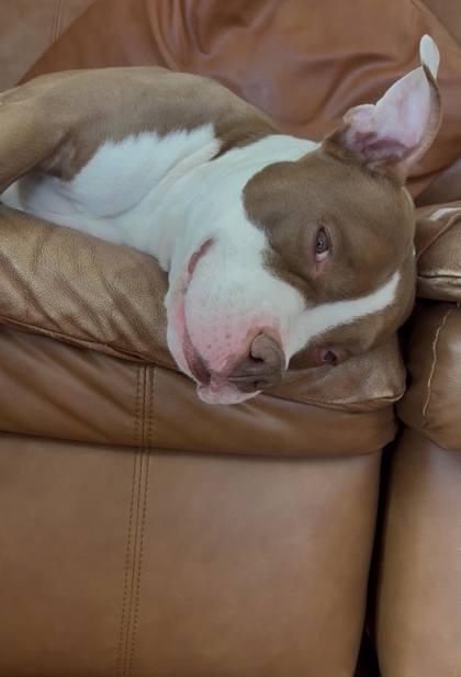 MC Mikey — thumbnail 3