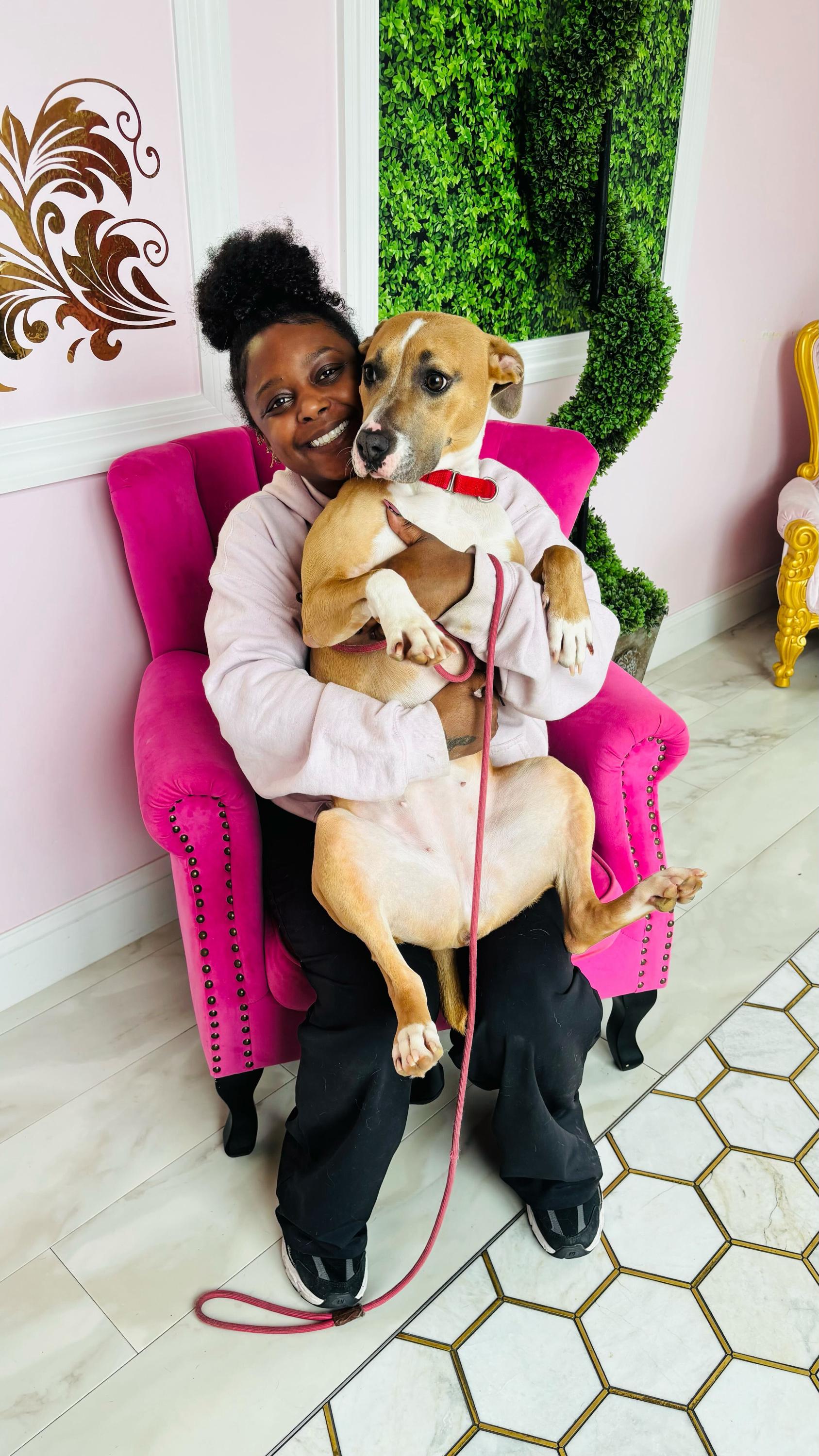 Enlarge Brioche , a ADOPTABLE mixed breed in O'Fallon, MO image 1/1