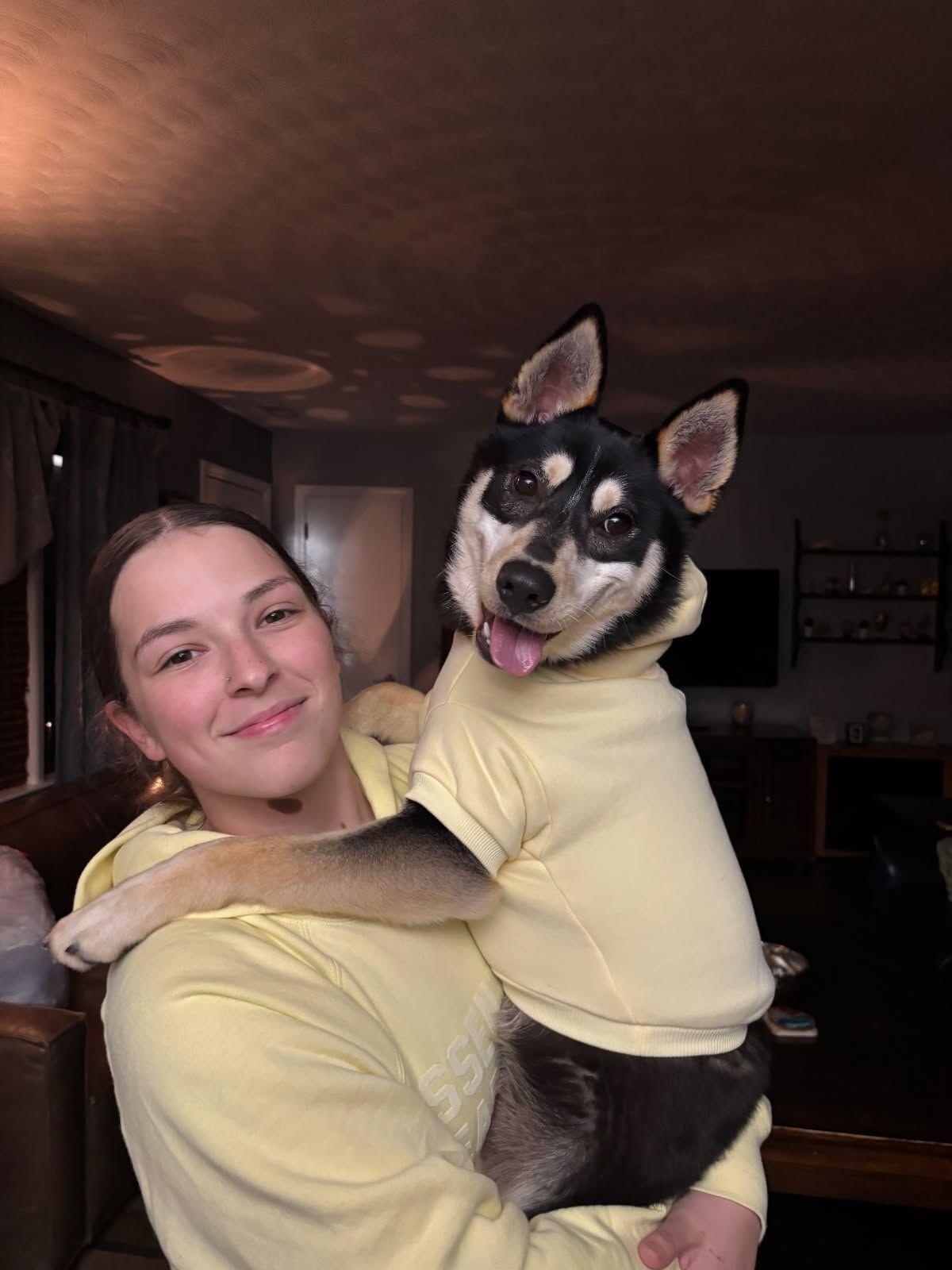 Enlarge Pete, a ADOPTABLE mixed breed in Chesapeake, VA image 3/3