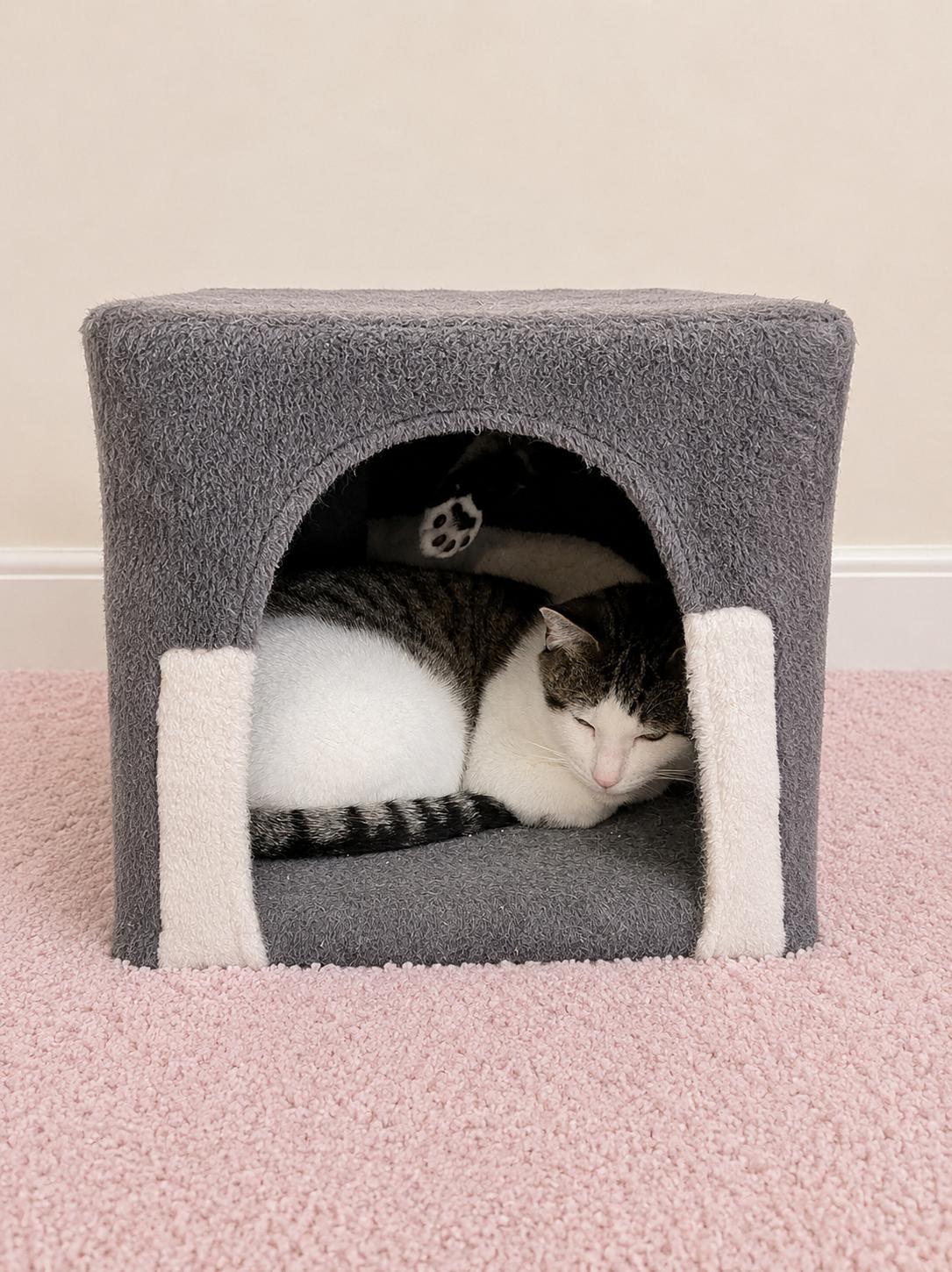 Enlarge Cupcake, a Adoptable mixed breed in Liverpool, NY image 3/4