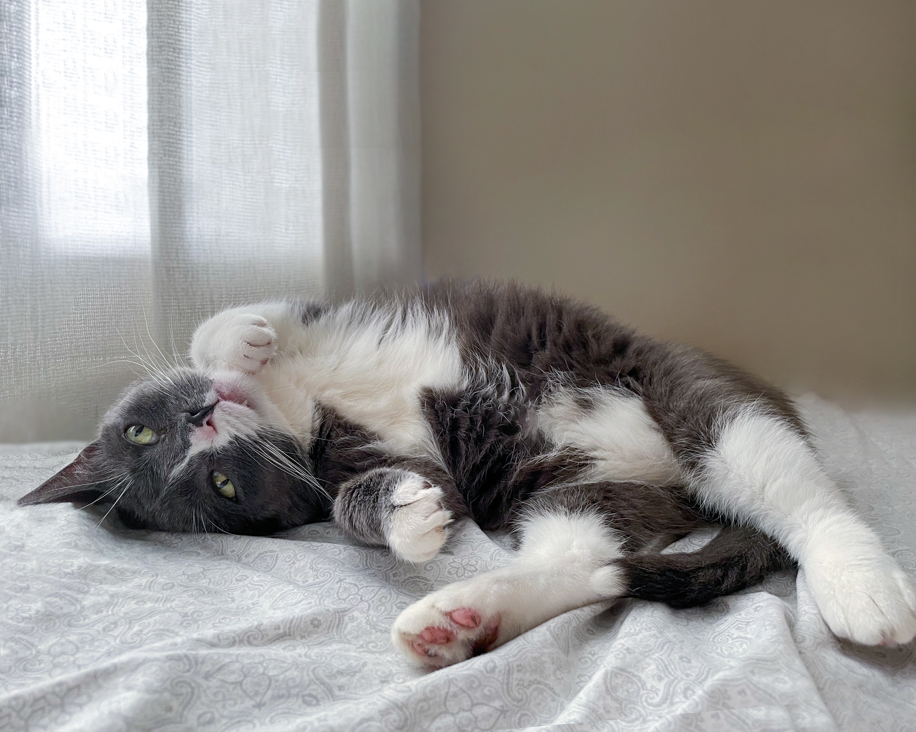 Julienne thumbnail 2