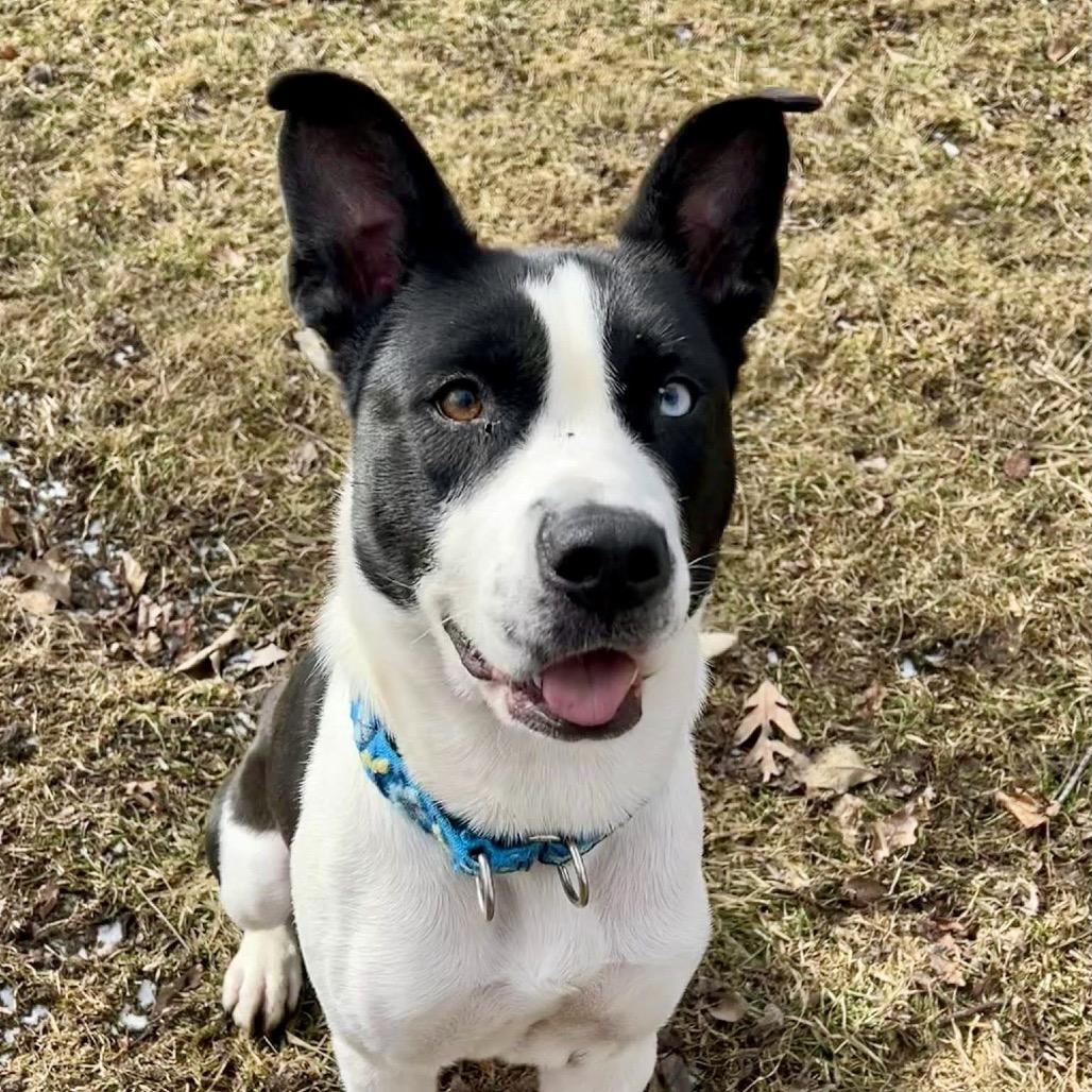 Nettie — thumbnail 2