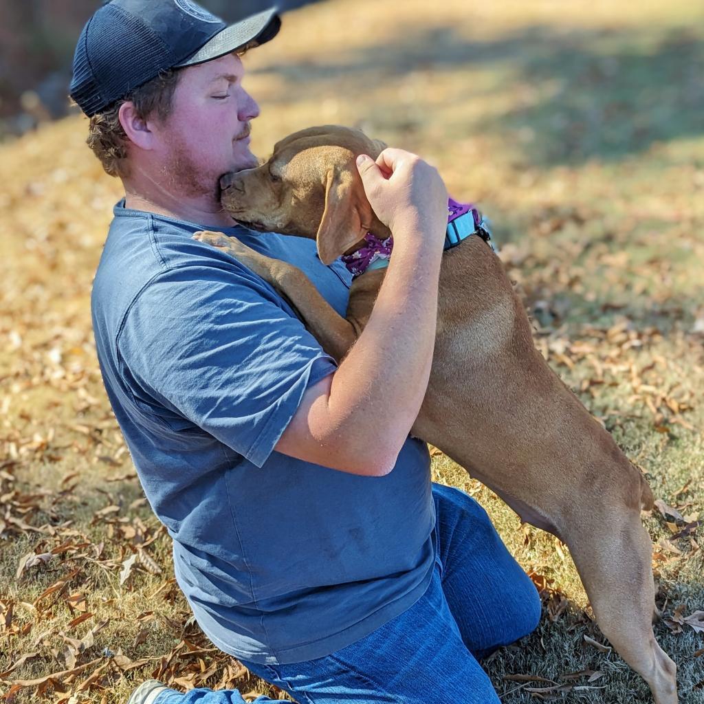 Goldie, an adoptable mixed breed in Helena, AL image 4/6