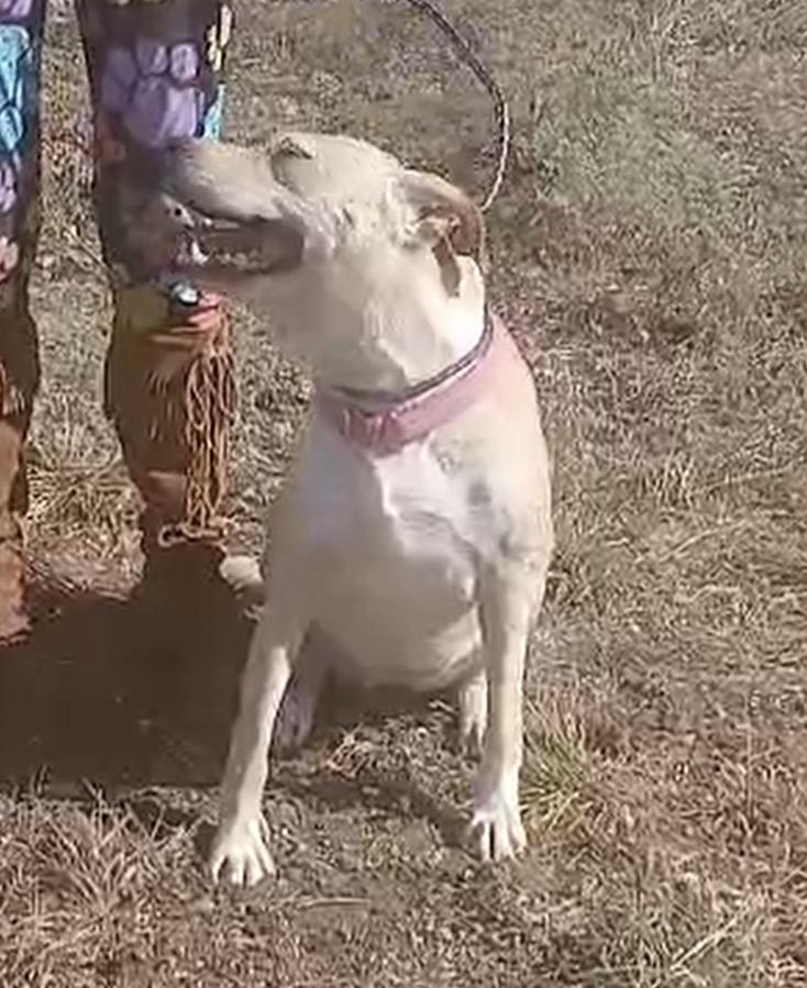 MISS FAITH > Bleeding Heart Society — thumbnail 3