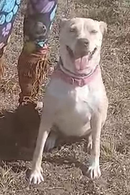 MISS FAITH > Bleeding Heart Society — thumbnail 4