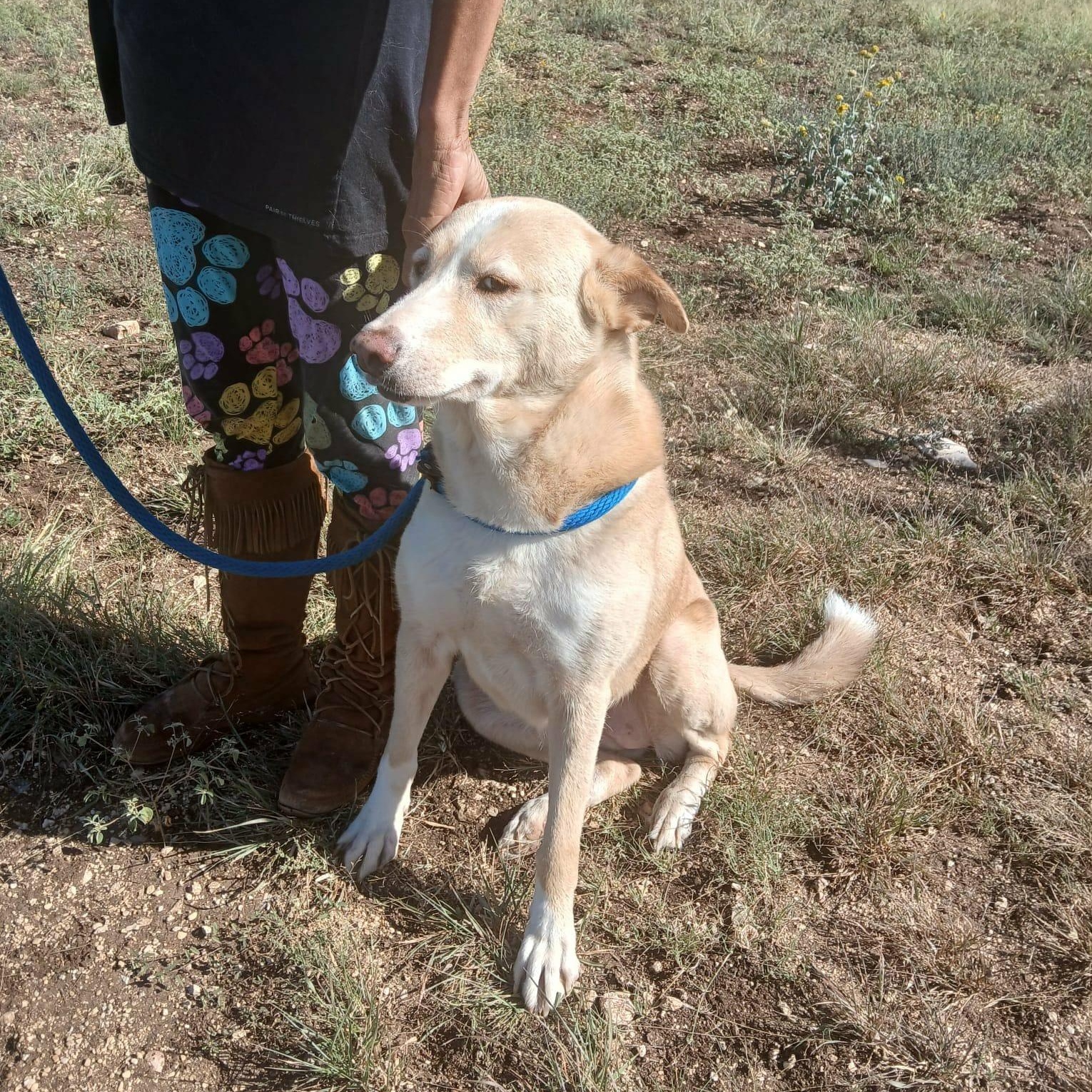 MISS FAITH > Bleeding Heart Society — thumbnail 5